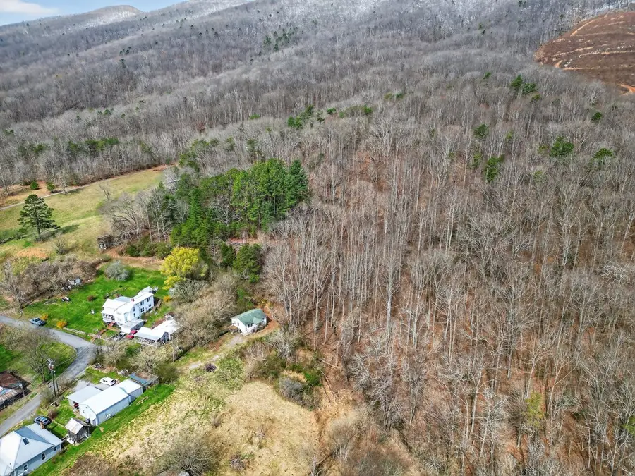 16155 Benfield Lane, Mendota, VA 24270 - #2