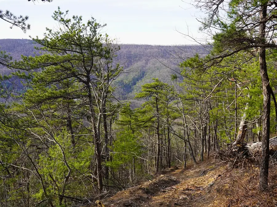 TBD North Ridge Ln, Pulaski, VA 24301 - #3