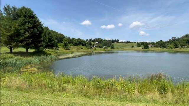 TBD Hidden Valley Rd., Independence, VA 24348 - #2