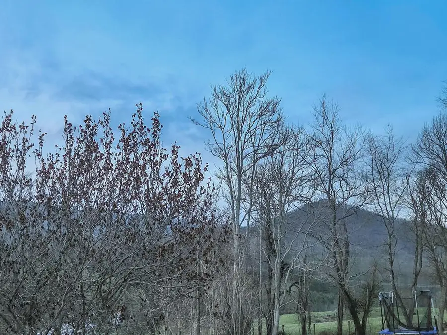 183 Rigby Street, Marion, VA 24354 - #3