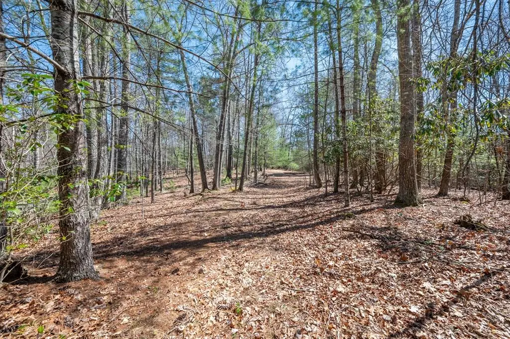 Lot 12 Ridge Line Trail, Independence, VA 24348 - #1