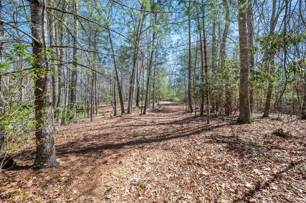 Lot 12 Ridge Line Trail, Independence, VA 24348