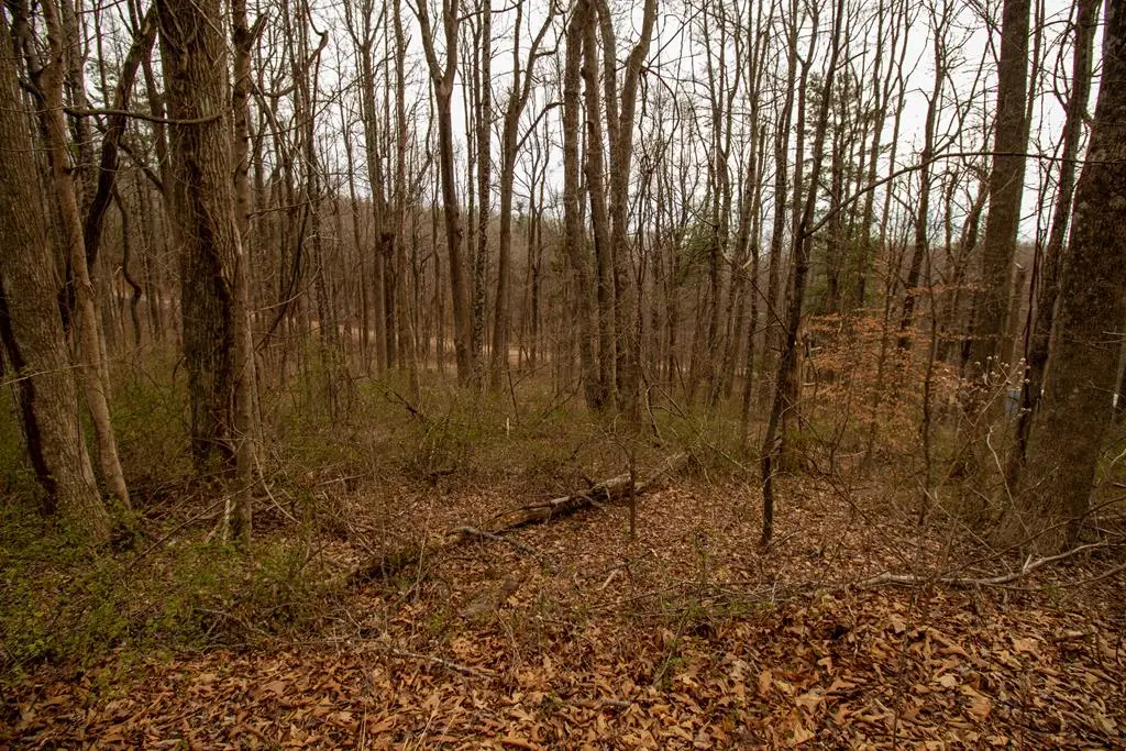 Lot 356 Scotch Pine Dr, Copper Hill, VA 24079 - #1
