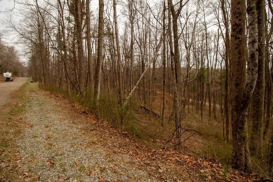 Lot 356 Scotch Pine Dr, Copper Hill, VA 24079 - #2