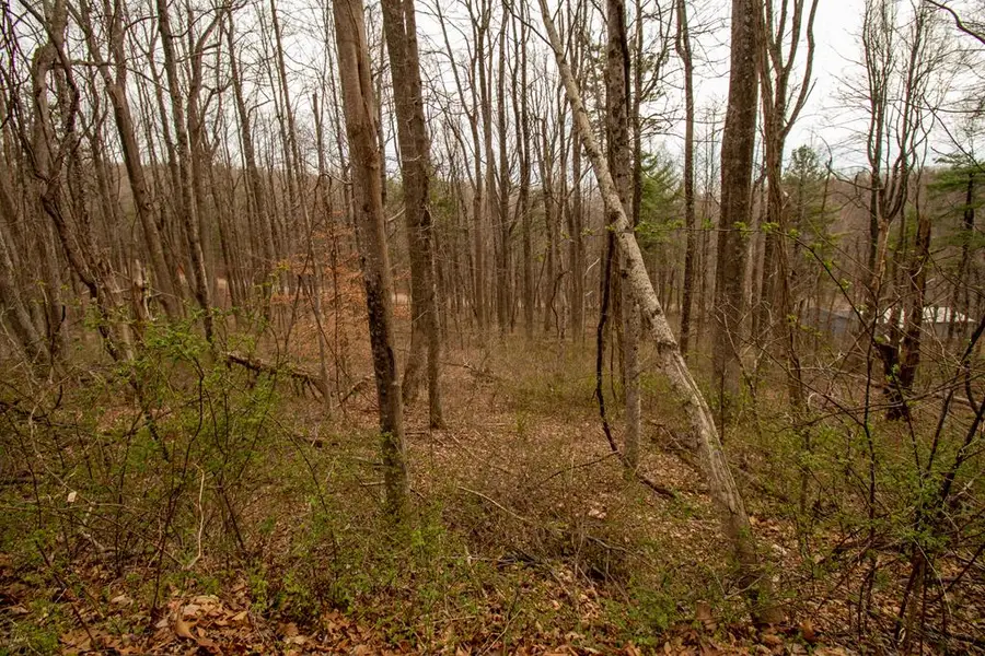 Lot 356 Scotch Pine Dr, Copper Hill, VA 24079 - #3