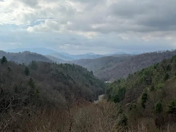 TBD Bear Wallow Rd., Lansing, NC 28643