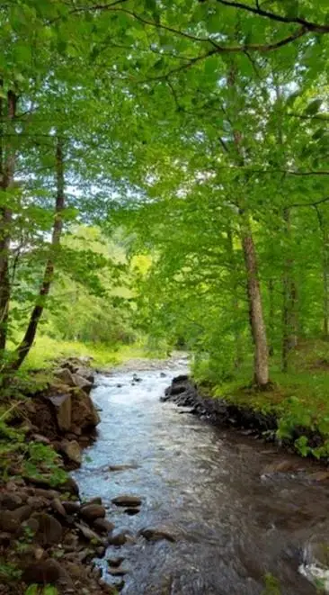 TBD Troudale Hwy, Troutdale, VA 24378 - #1