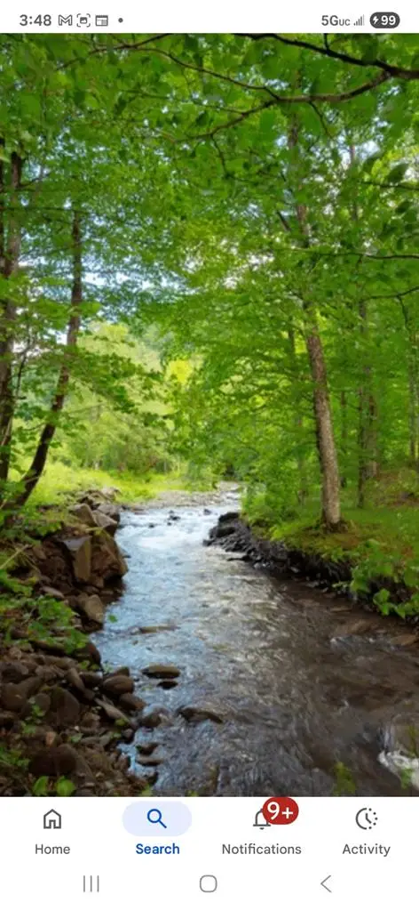 TBD Troudale Hwy, Troutdale, VA 24378