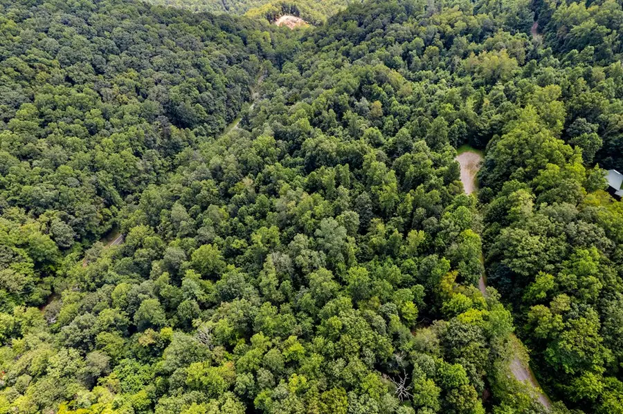 TBD Lot 6 Old Mill Court, Fancy Gap, VA 24328 - #3