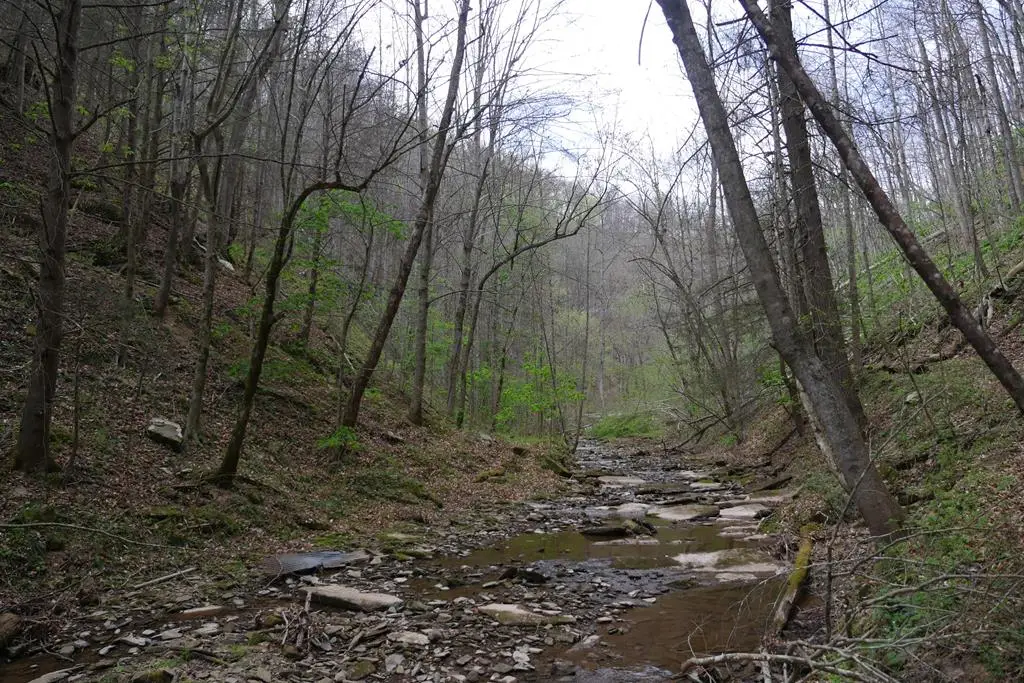 TBD Fowlers Branch Road, Hiltons, VA 24258 - #1