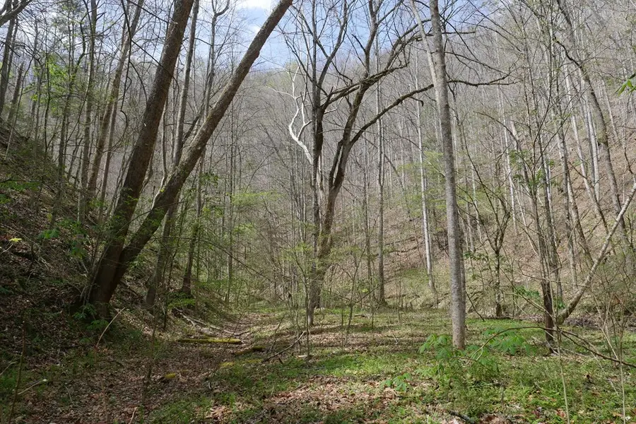 TBD Fowlers Branch Road, Hiltons, VA 24258 - #2