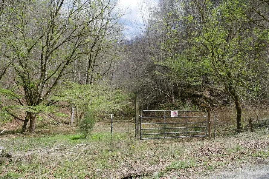 TBD Fowlers Branch Road, Hiltons, VA 24258 - #3