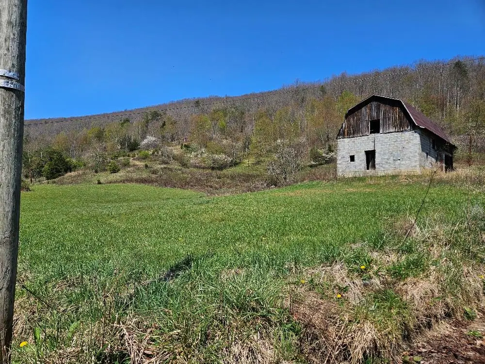 TBD Bebee Lane, Chilhowie, VA 24319 - #1