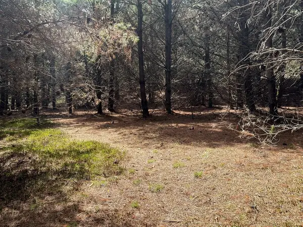 TBD Pine Branch Road, Laurel Fork, VA 24352