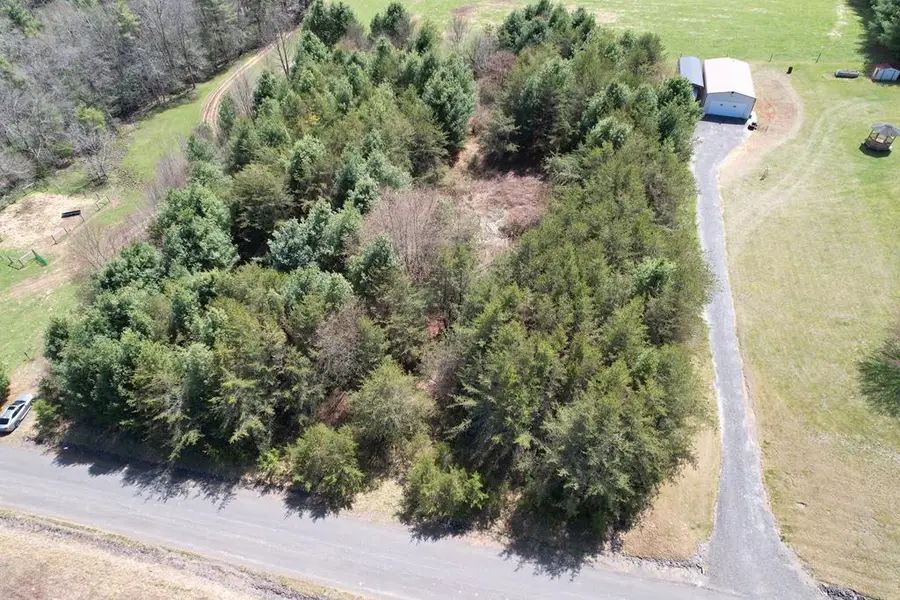 TBD Pine Branch Road, Laurel Fork, VA 24352 - #2