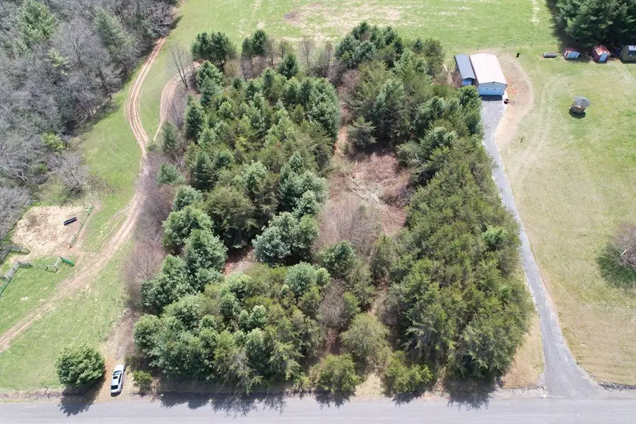 TBD Pine Branch Road, Laurel Fork, VA 24352 - #3