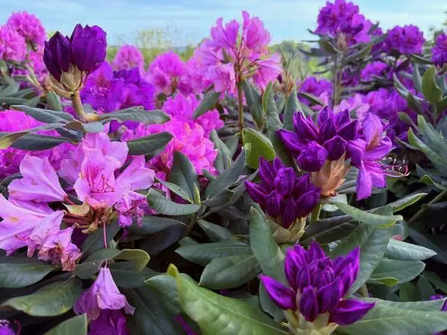 2593 Lime Kiln Rd, Fries, VA 24330 - #2