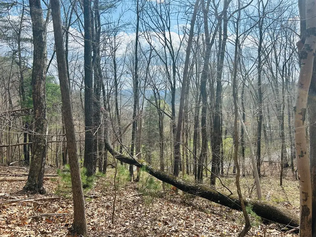 TBD Julia Simpkins Rd, Hiwassee, VA 24347 - #1