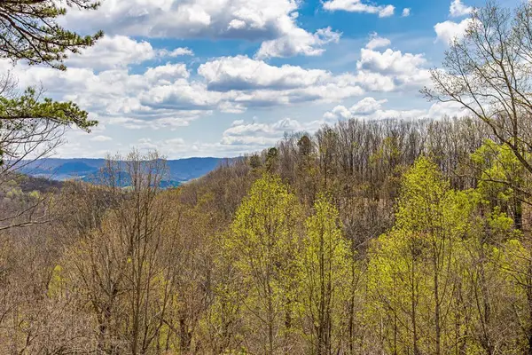 760 Walkers Creek Rd., Marion, VA 24354