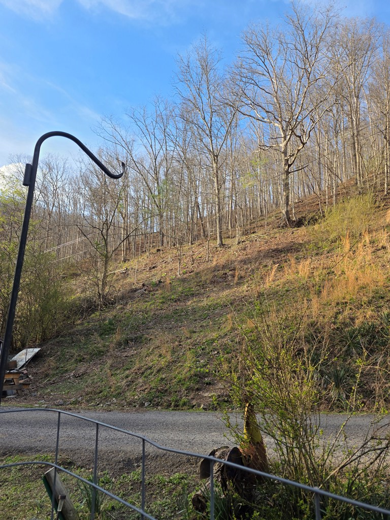 1168 White Oak Rd, Grundy, VA 24614 - #3