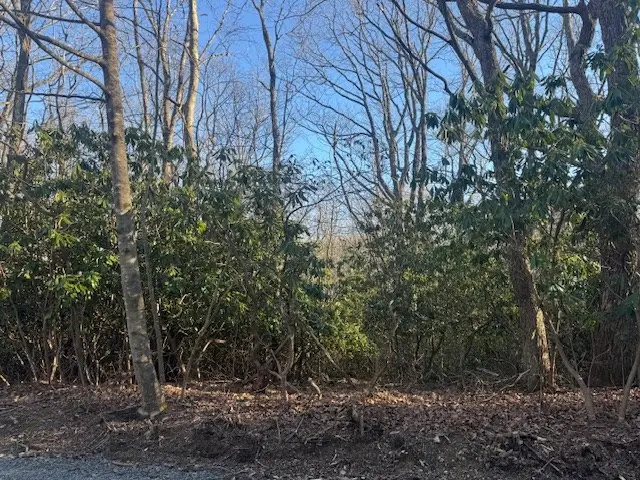 TBD Hickory Nut Hollar, Hillsville, VA 24343 - #2