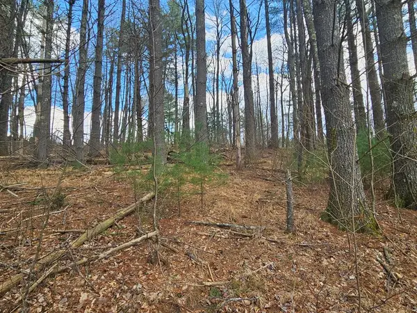 TBD Panorama Drive, Todd, NC 28684