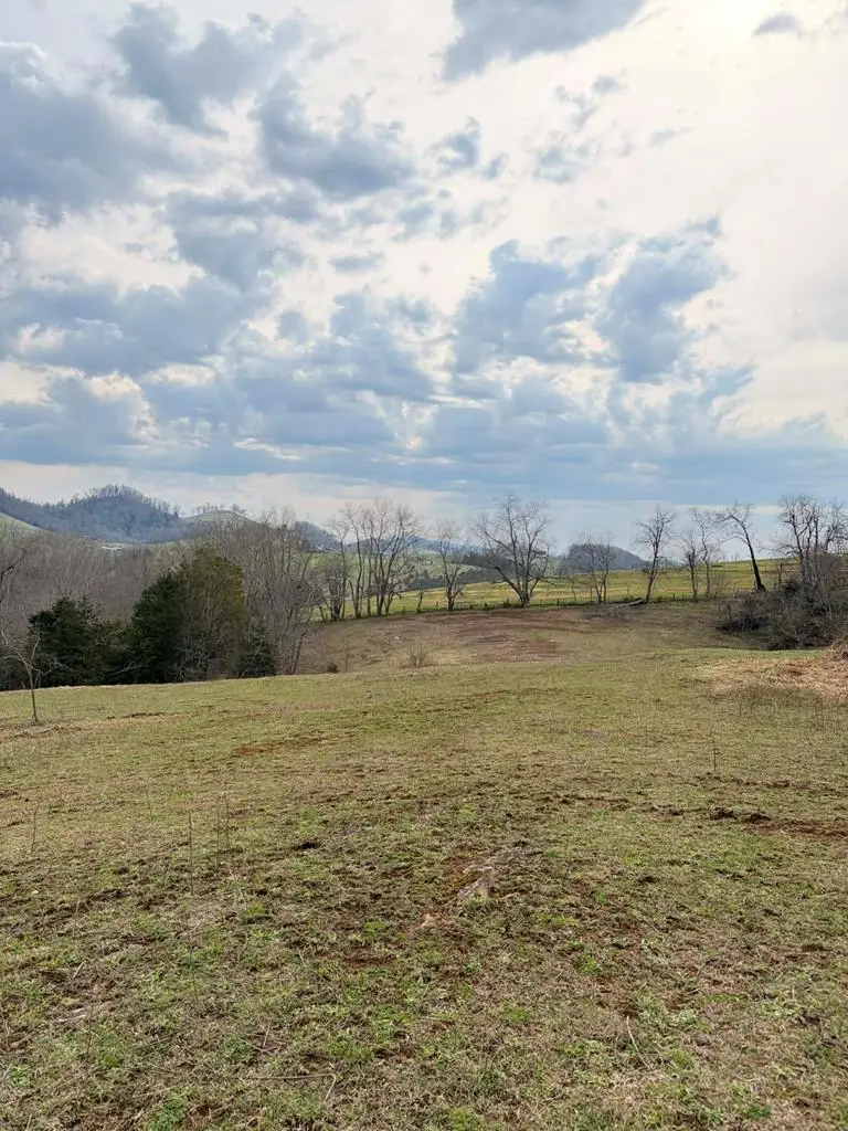 TBD Romans Ridge Road, Honaker, VA 24260 - #1