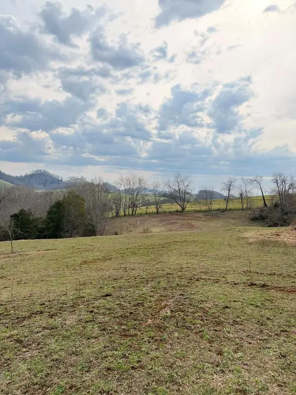 TBD Romans Ridge Road, Honaker, VA 24260