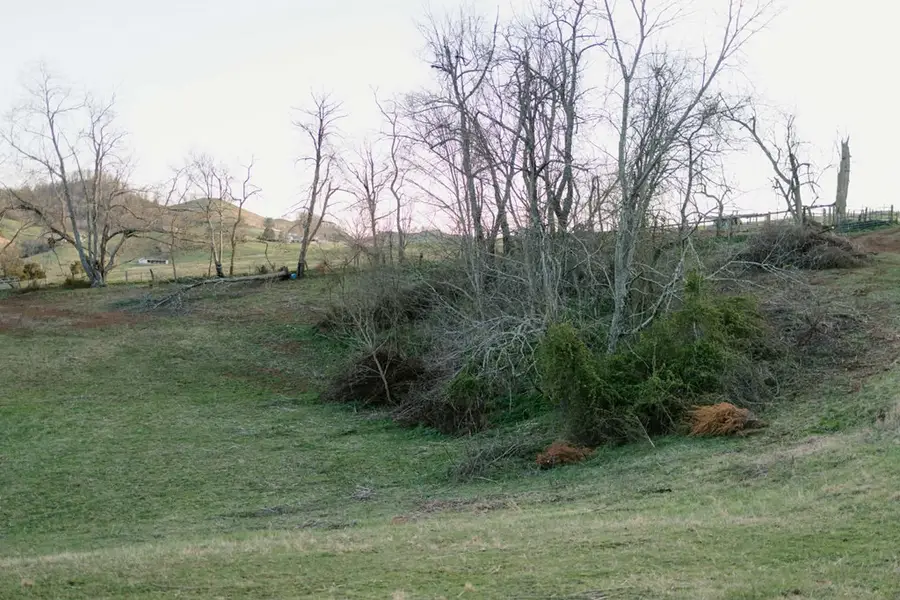 TBD Romans Ridge Road, Honaker, VA 24260 - #2