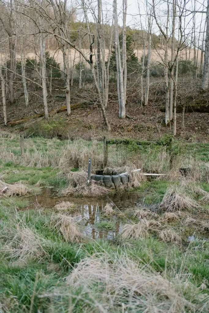 TBD Romans Ridge Road, Honaker, VA 24260 - #3