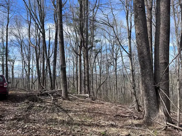 TBD Calvary Way, Laurel Fork, VA 24352