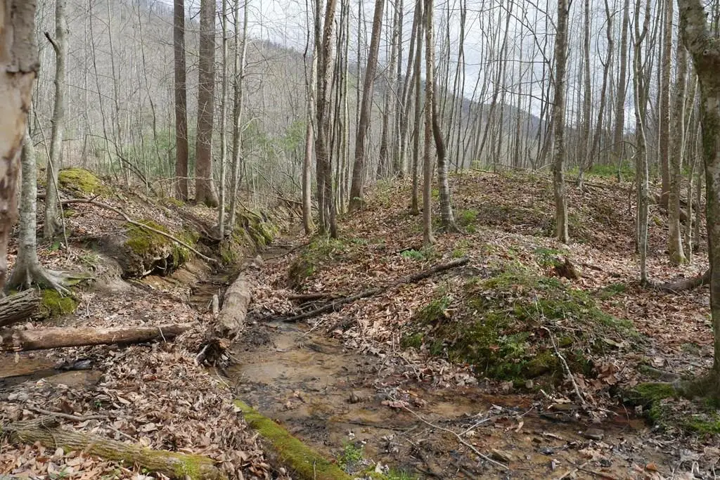 TBD Valley Spring Road, Rose Hill, VA 24281 - #1