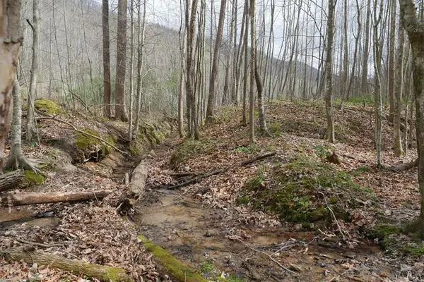 TBD Valley Spring Road, Rose Hill, VA 24281