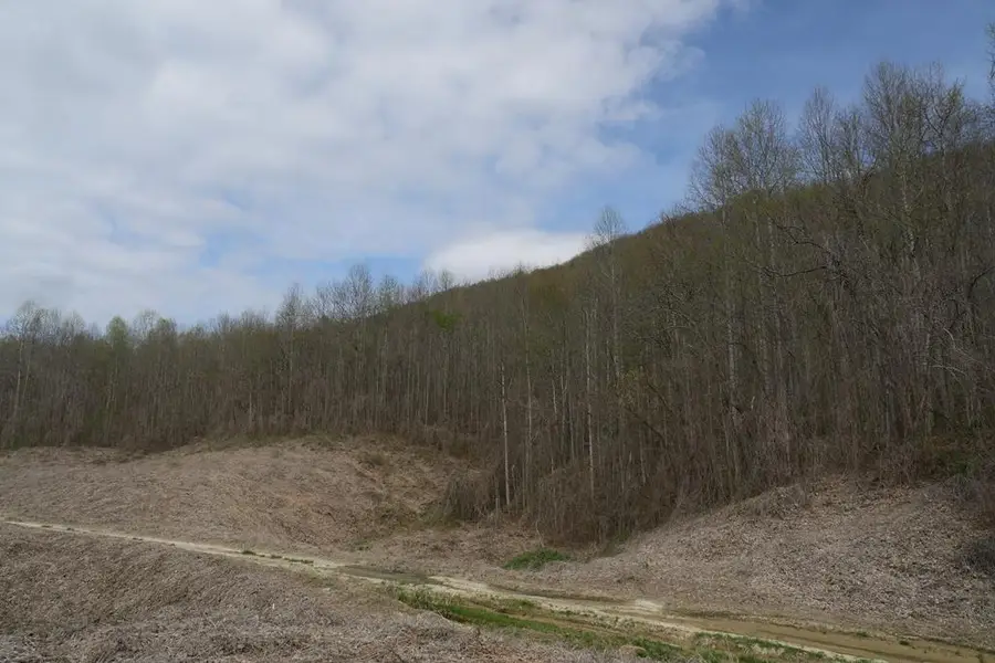 TBD Valley Spring Road, Rose Hill, VA 24281 - #2