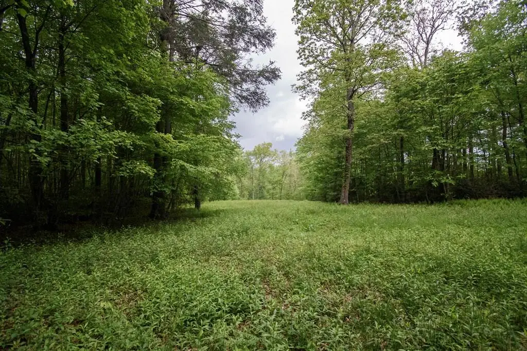 TBD Keno Rd., Laurel Fork, VA 24352 - #1