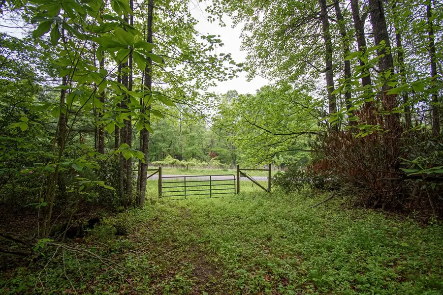 TBD Keno Rd., Laurel Fork, VA 24352 - #3