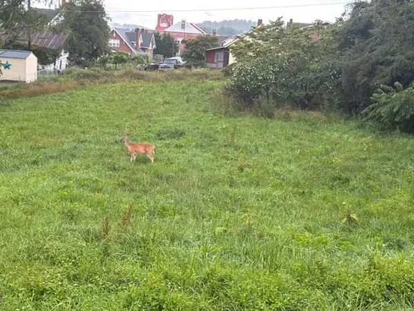 tbd Webster St, Galax, VA 24333