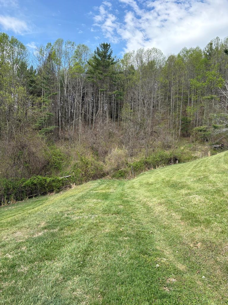 TBD Tower Rd, Galax, VA 24333 - #1