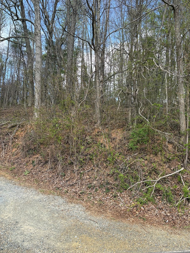 TBD Tower Rd, Galax, VA 24333 - #2