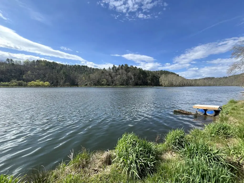 TBD Scenic Road, Fries, VA 24330 - #1