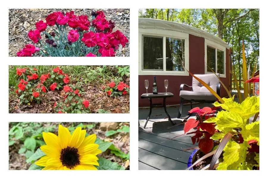 3385 Bent Rd, Meadows Of Dan, VA 24120 - #2