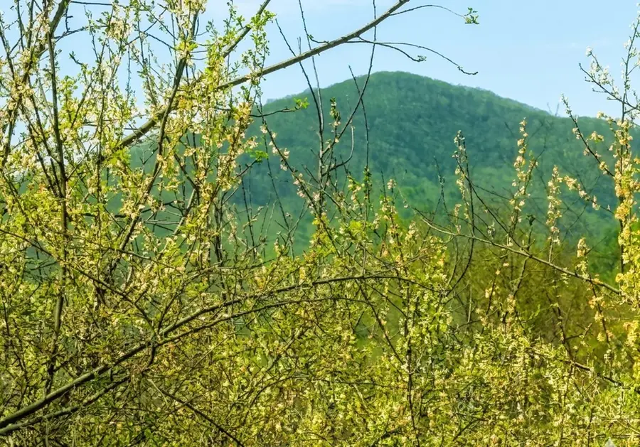 TBD Independence Avenue, Independence, VA 24348 - #2