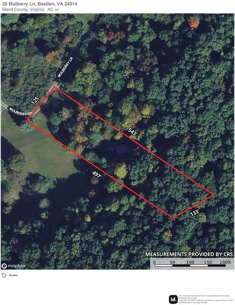 22 Mulberry Ln., Bastian, VA 24314 - #2