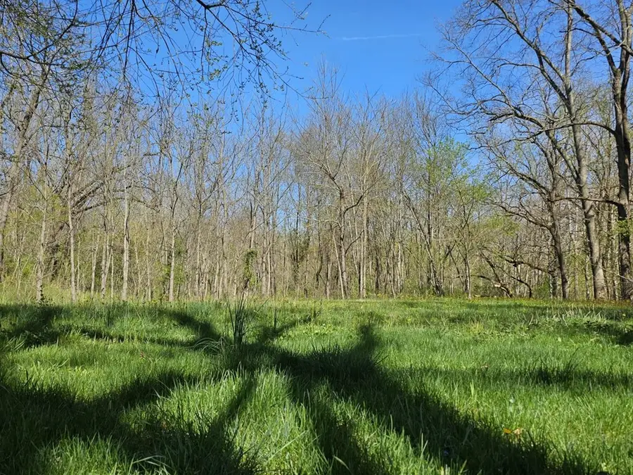 TBD E Lee Hwy, Max Meadows, VA 24360 - #3