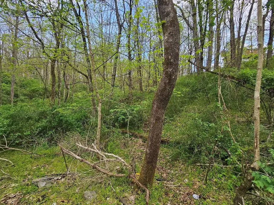 TBD Miller Ave., Marion, VA 24354 - #3