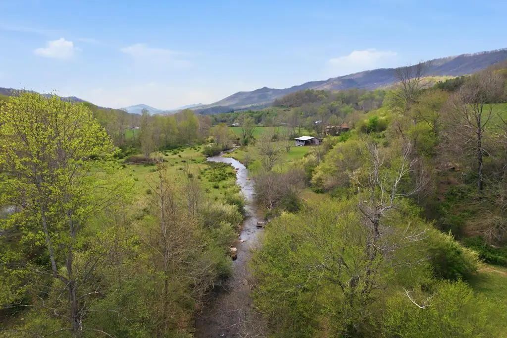 4020 Freestone Valley Road, Tannersville, VA 24377 - #1