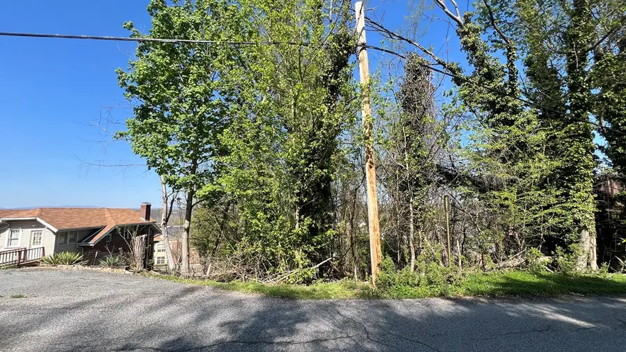 TBD Tyler Ave, Radford, VA 24141 - #2