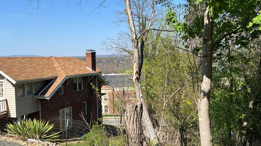 TBD Tyler Ave, Radford, VA 24141 - #3