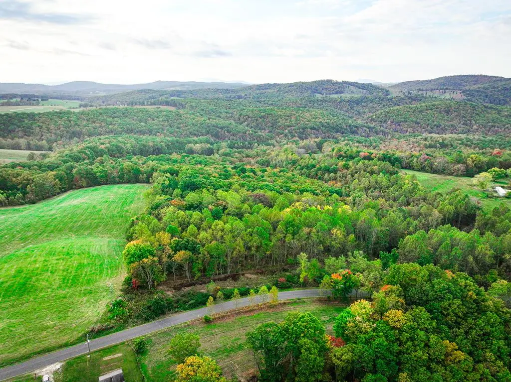 TBD Pedigo Ridge Rd, Claudville, VA 24076 - #1