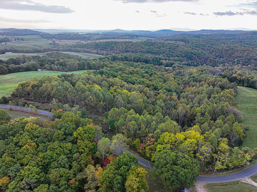 TBD Pedigo Ridge Rd, Claudville, VA 24076 - #2